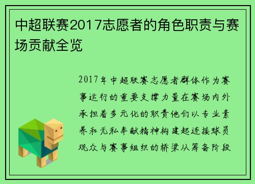 中超联赛2017志愿者的角色职责与赛场贡献全览